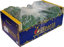 Broccoli Box 6kg – Fresh Vegetable Supply for Catering | Creed Foodservice